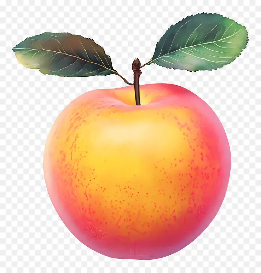 Equinoccio De Septiembre，Manzana PNG