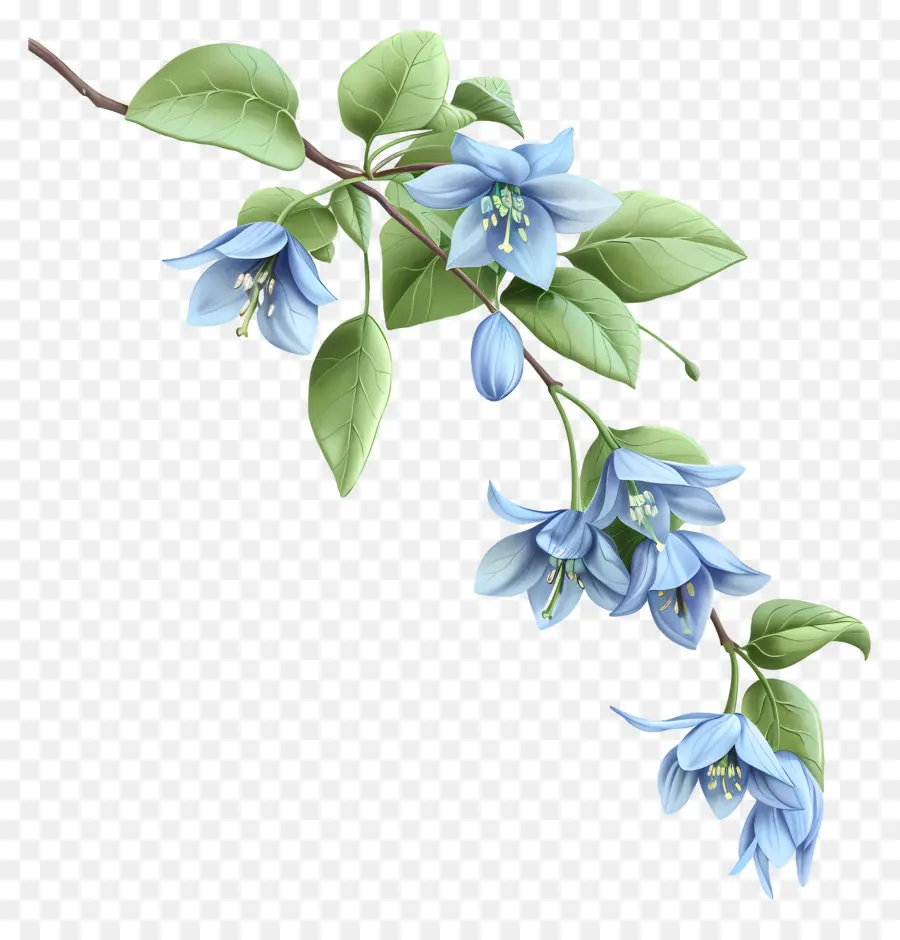 Flor De Campanilla，Flores Azules PNG