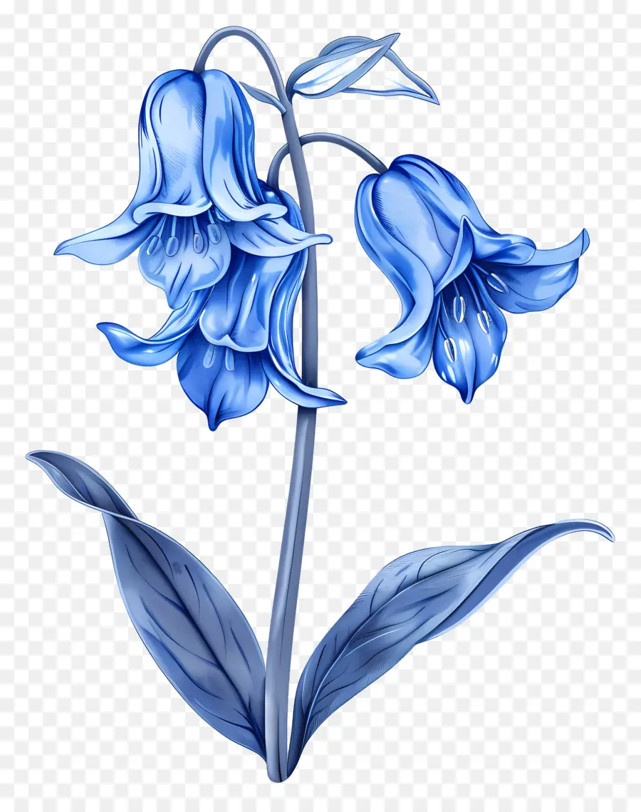 Flor De Campanilla，Flores De Campanilla PNG