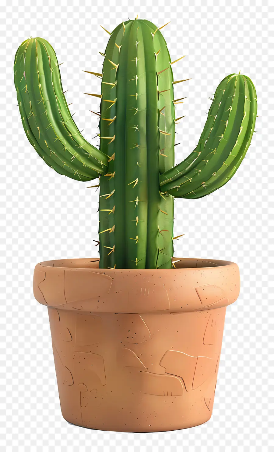 Cactus En Maceta，Cactus PNG