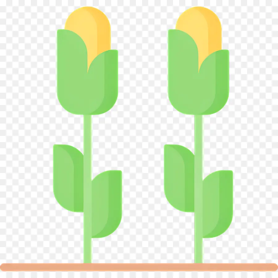 Maíz，Plantas De Maiz PNG