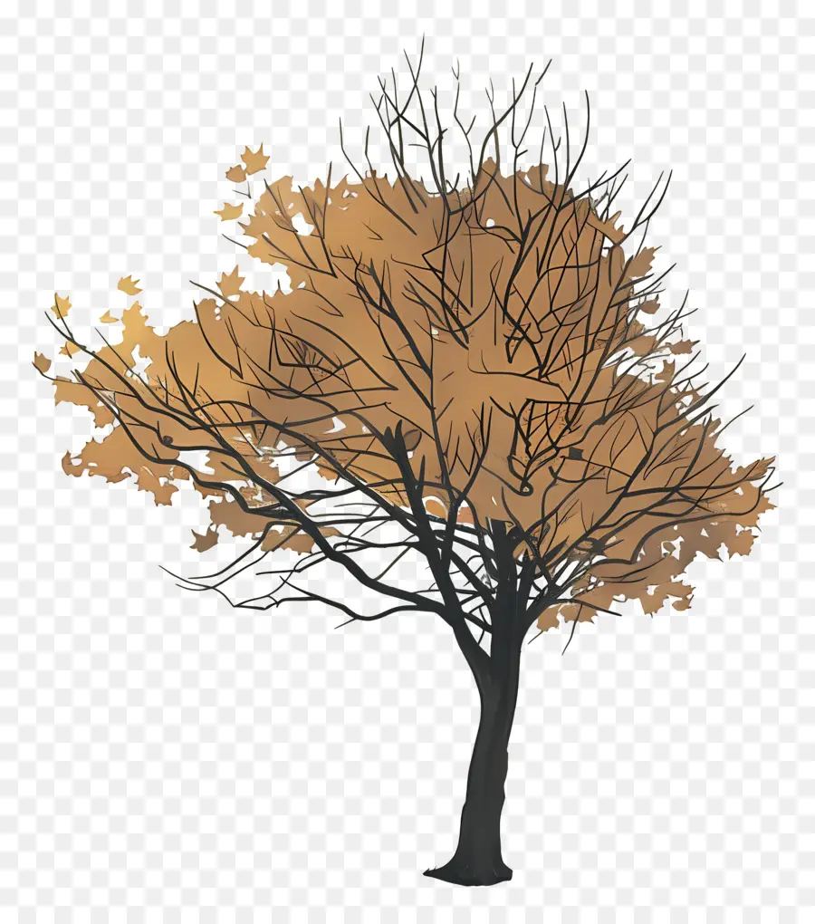 Mujer En El Día De Otoño，árbol De Otoño PNG