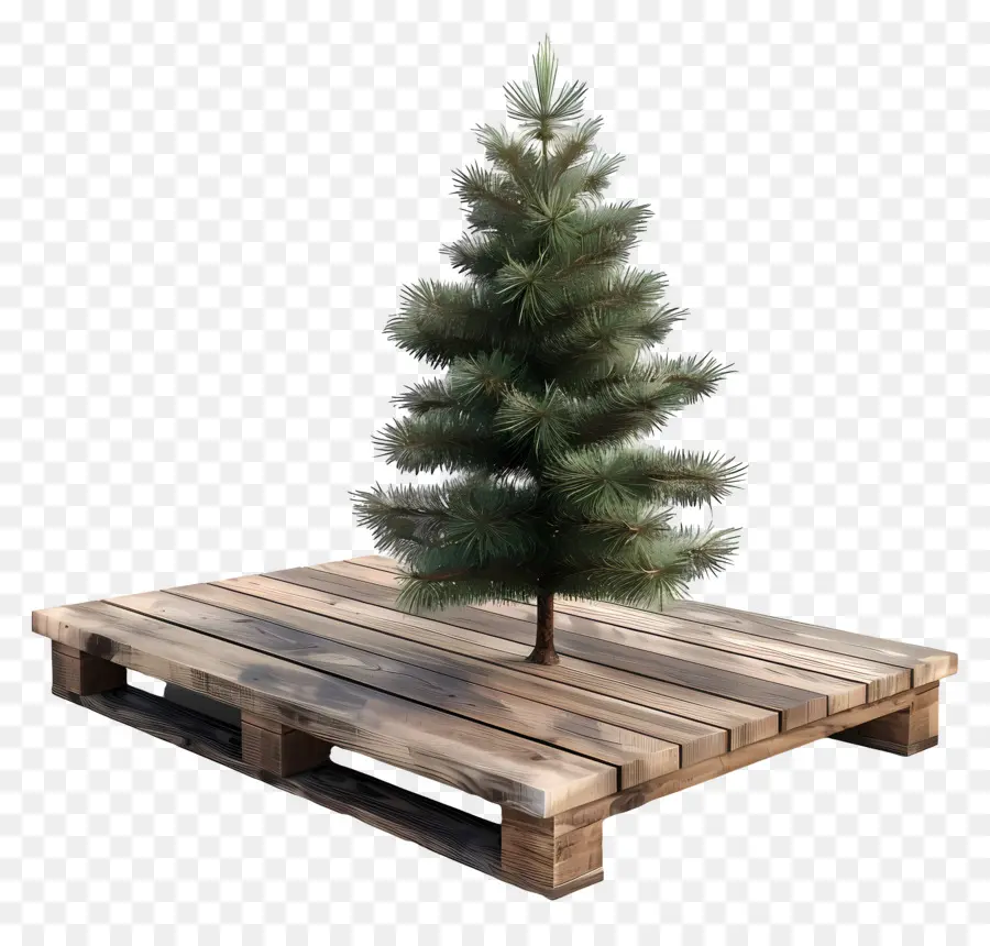 Cubierta De Madera，Árbol PNG