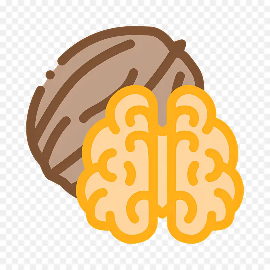 Nuez，Nuez Y Cerebro PNG