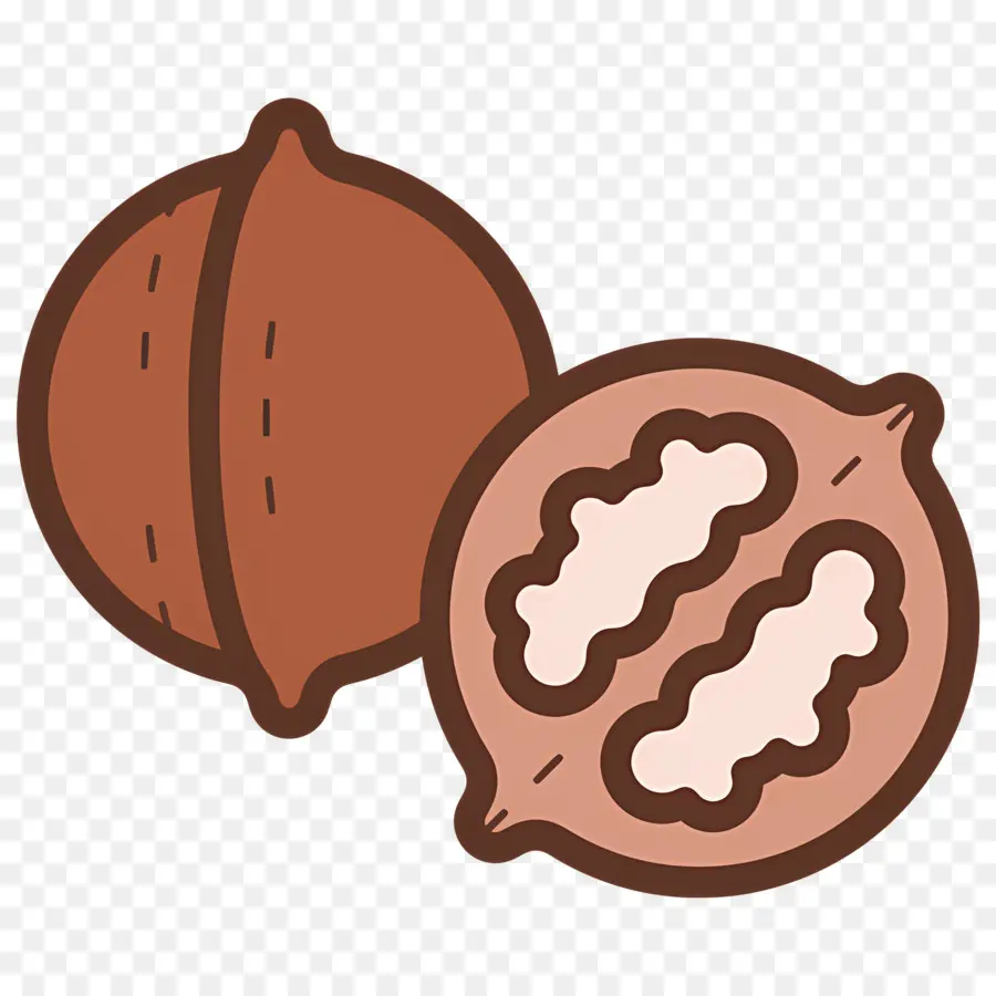 Nuez，Nueces PNG