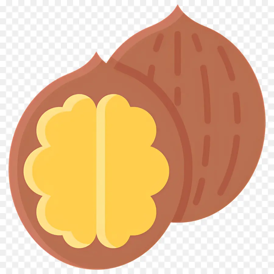 Nuez，Nueces PNG