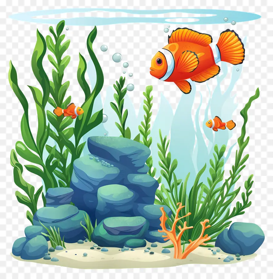 Pescado Y Algas，Acuario PNG