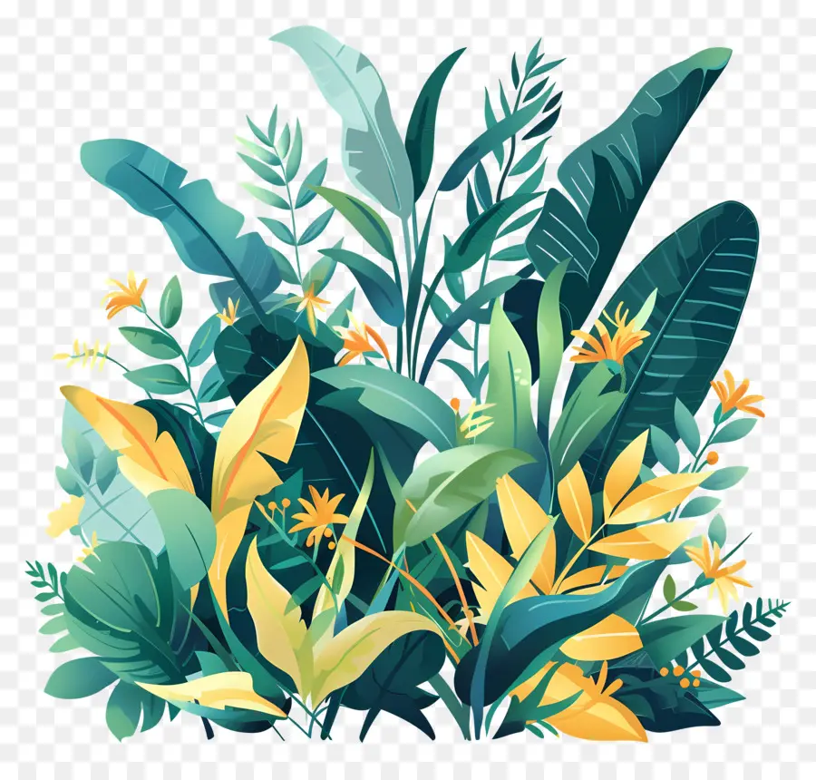 Plantas De La Selva，Plantas Coloridas PNG