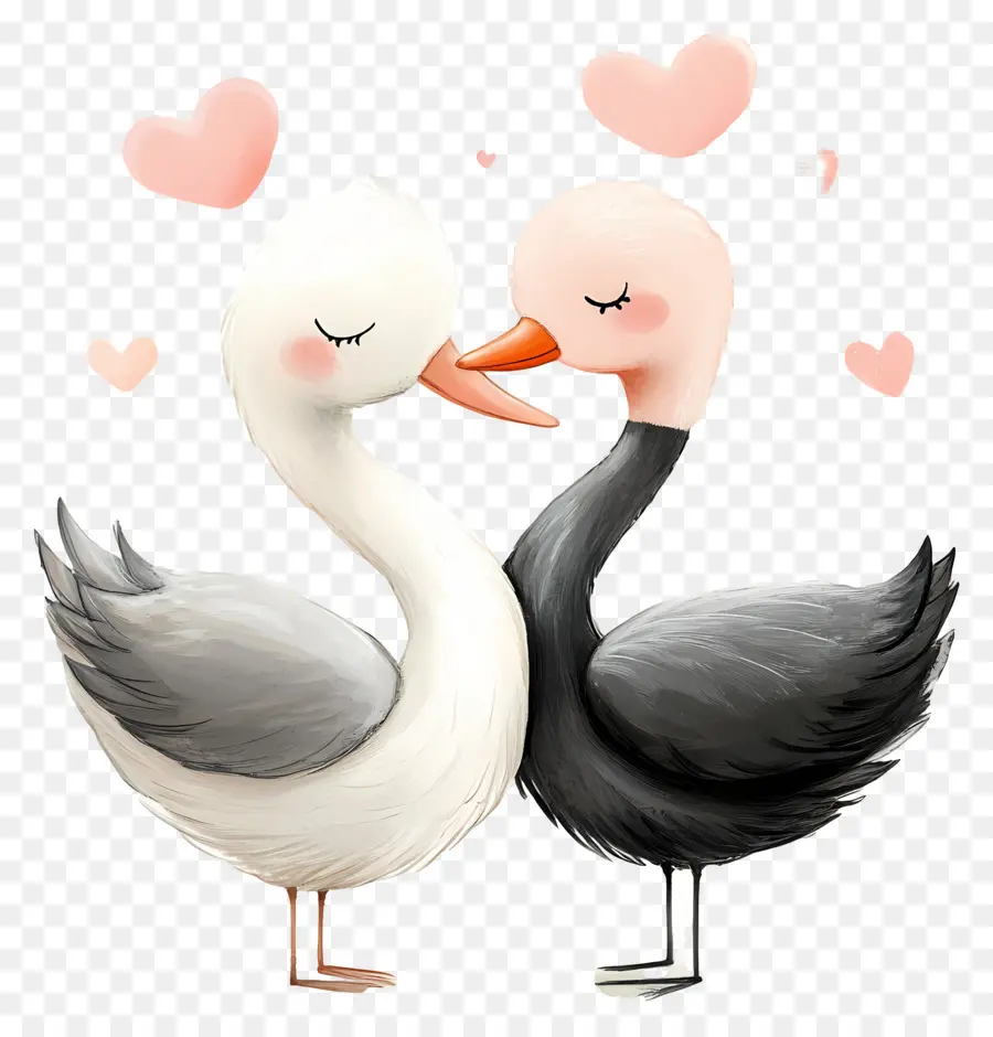 Amor Eterno，Cisnes PNG