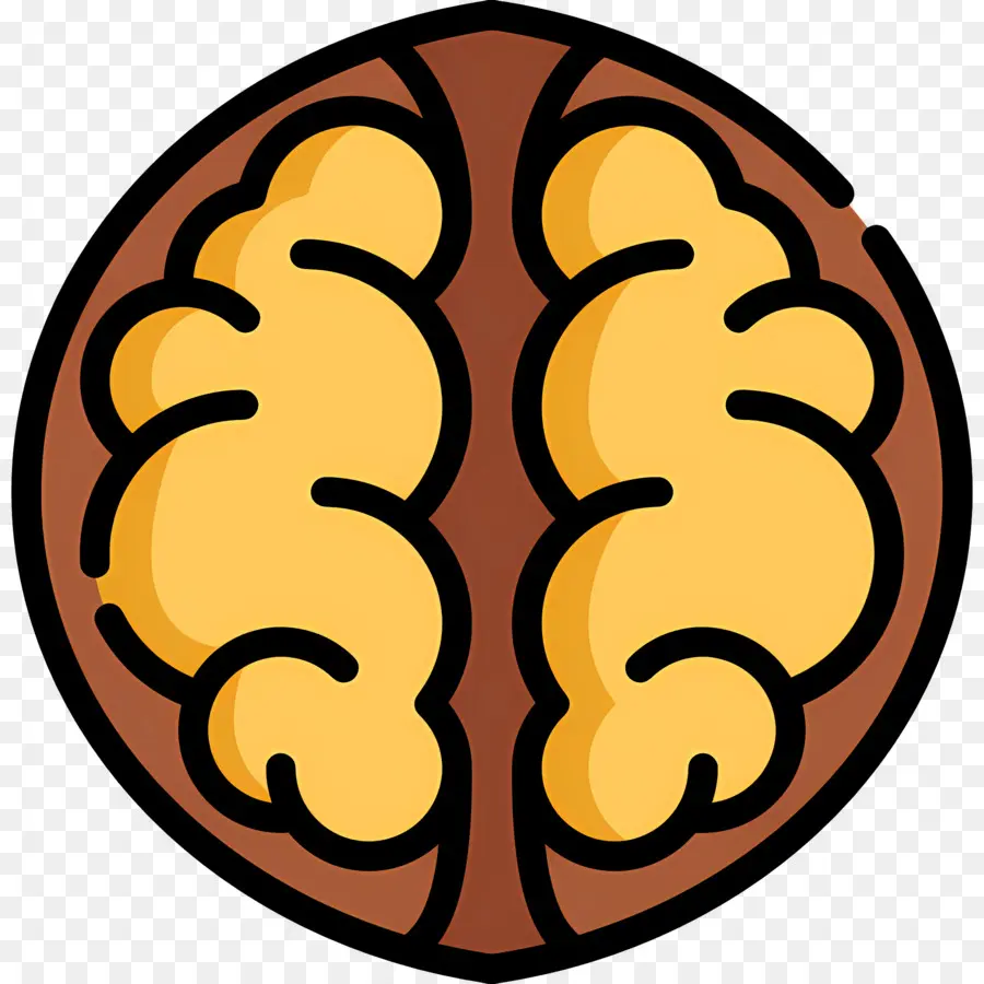 Nuez，Cerebro PNG