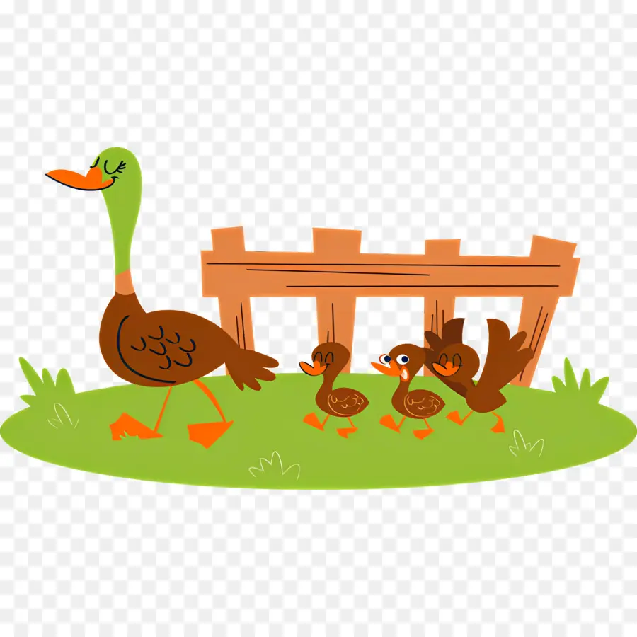 Pato De Dibujos Animados，Familia De Patos PNG