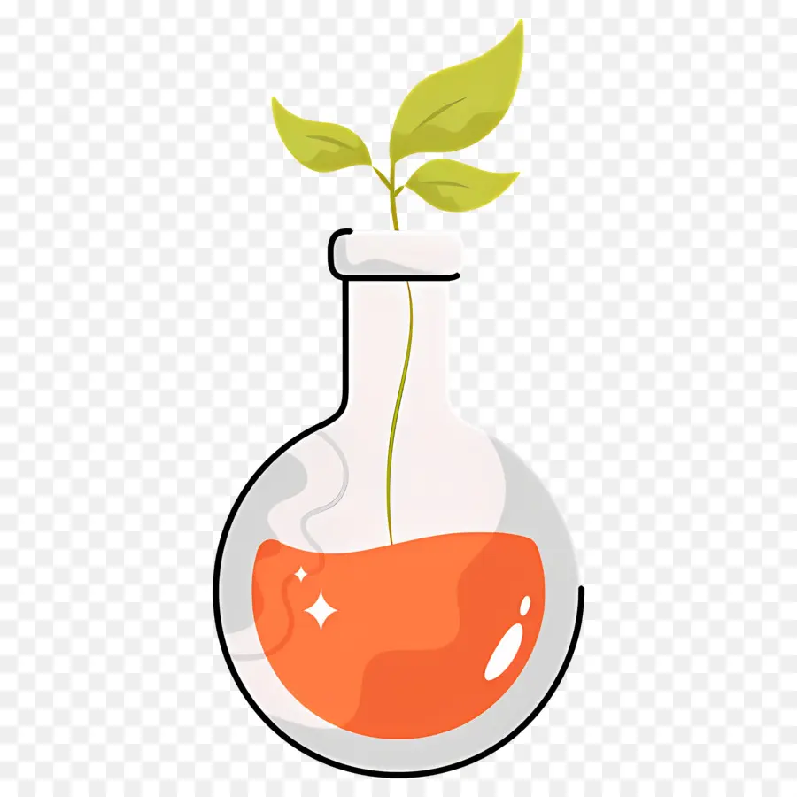 Matraz De Química，Planta En Matraz PNG