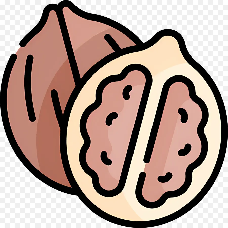 Nuez，Nueces PNG