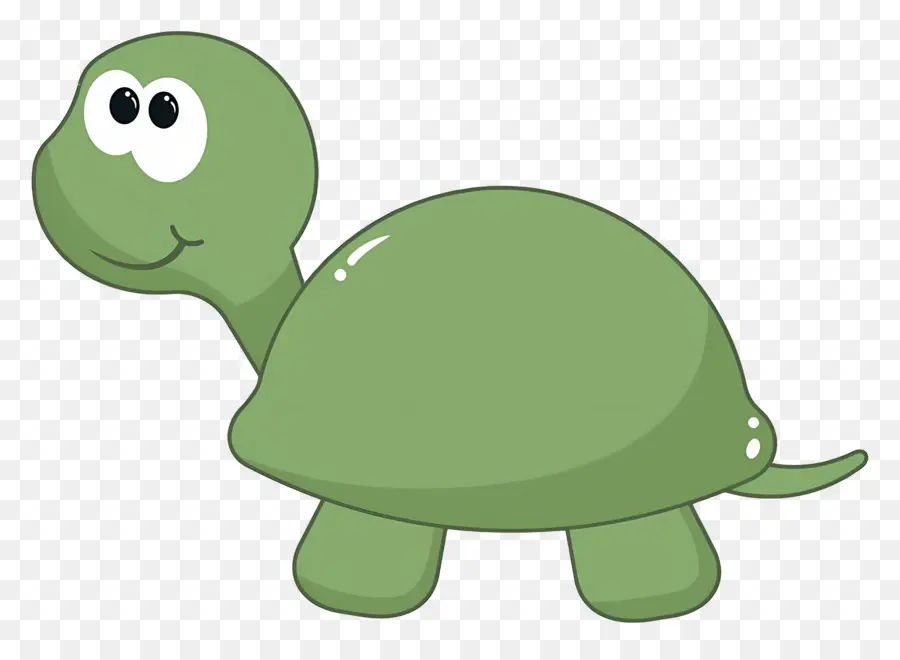 Tortuga De Dibujos Animados，Tortuga PNG