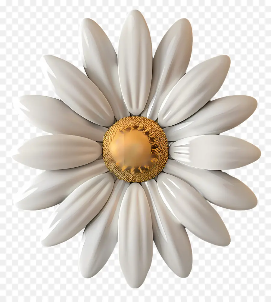 Flor De Margarita Blanca，Flor Blanca PNG