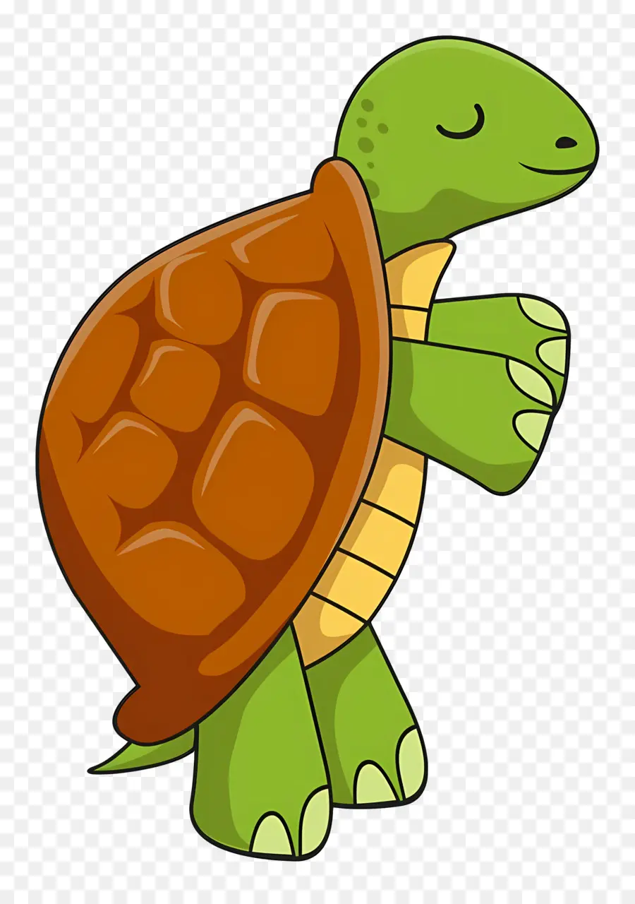 Tortuga De Dibujos Animados，Tortuga PNG