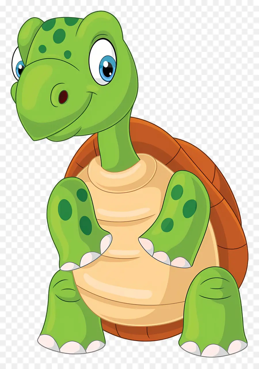 Tortuga De Dibujos Animados，Tortuga Verde PNG