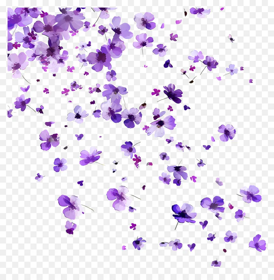 Fondo Morado，Flores Moradas PNG