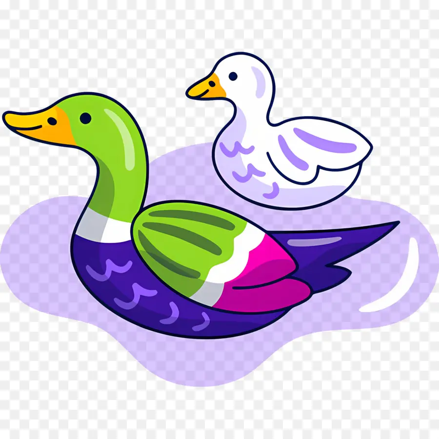 Pato De Dibujos Animados，Pato PNG