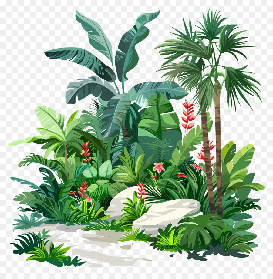 Paisaje De Jardín，Plantas Tropicales PNG