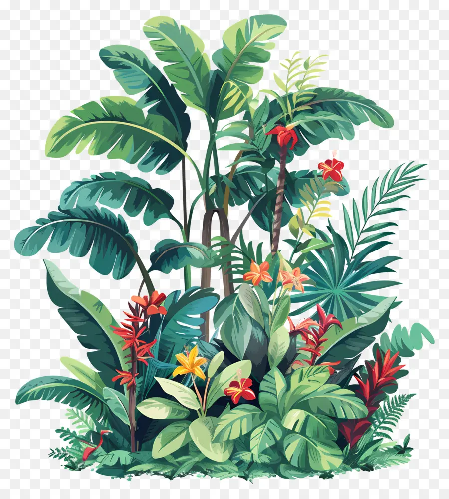 Plantas De La Selva，Plantas Verdes PNG