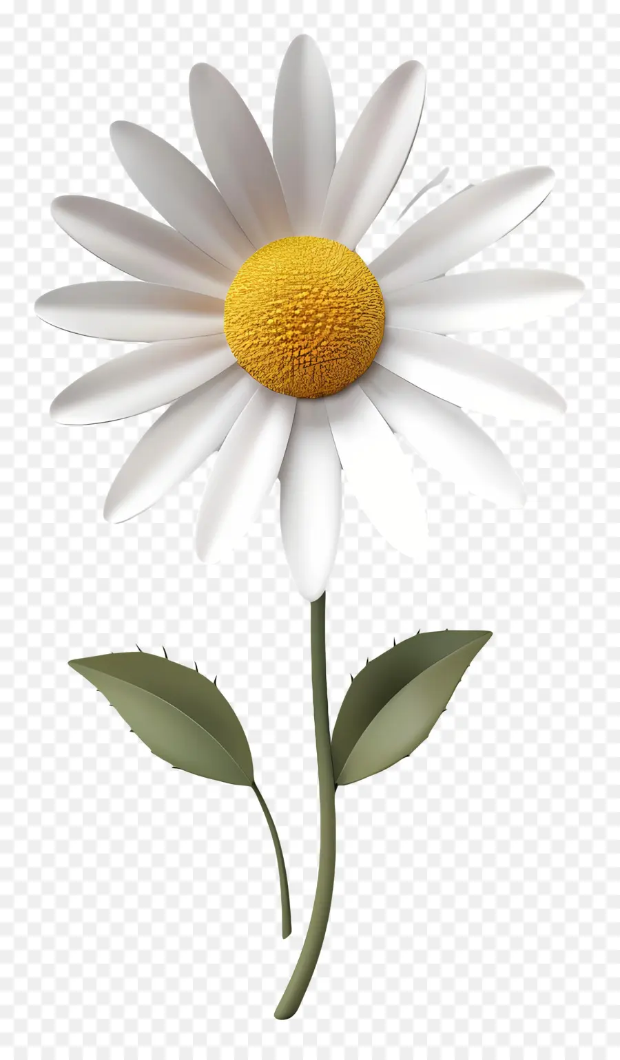 Flor De Margarita Blanca，Flor De Margarita PNG