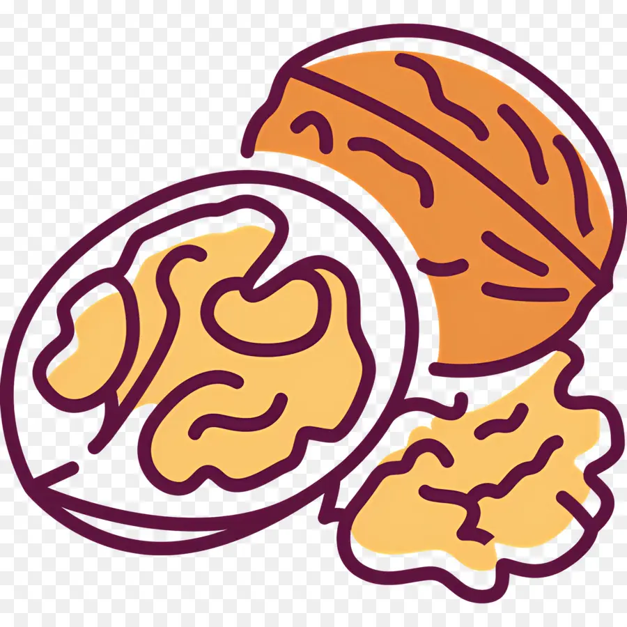 Nuez，Nueces PNG