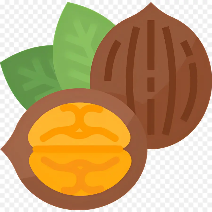 Nuez，Nueces PNG