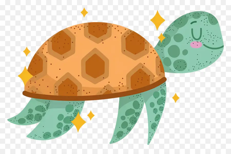 Tortuga De Dibujos Animados，Tortuga PNG