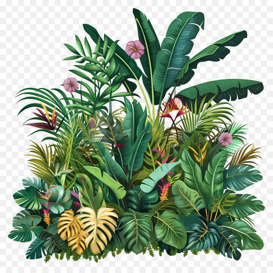 Plantas De La Selva，Plantas Tropicales PNG