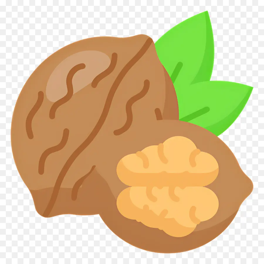 Nuez，Nueces PNG