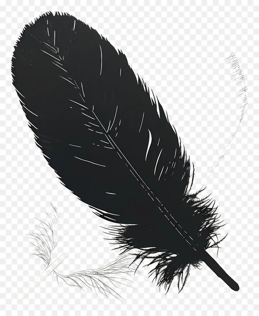 Pluma，Pájaro PNG