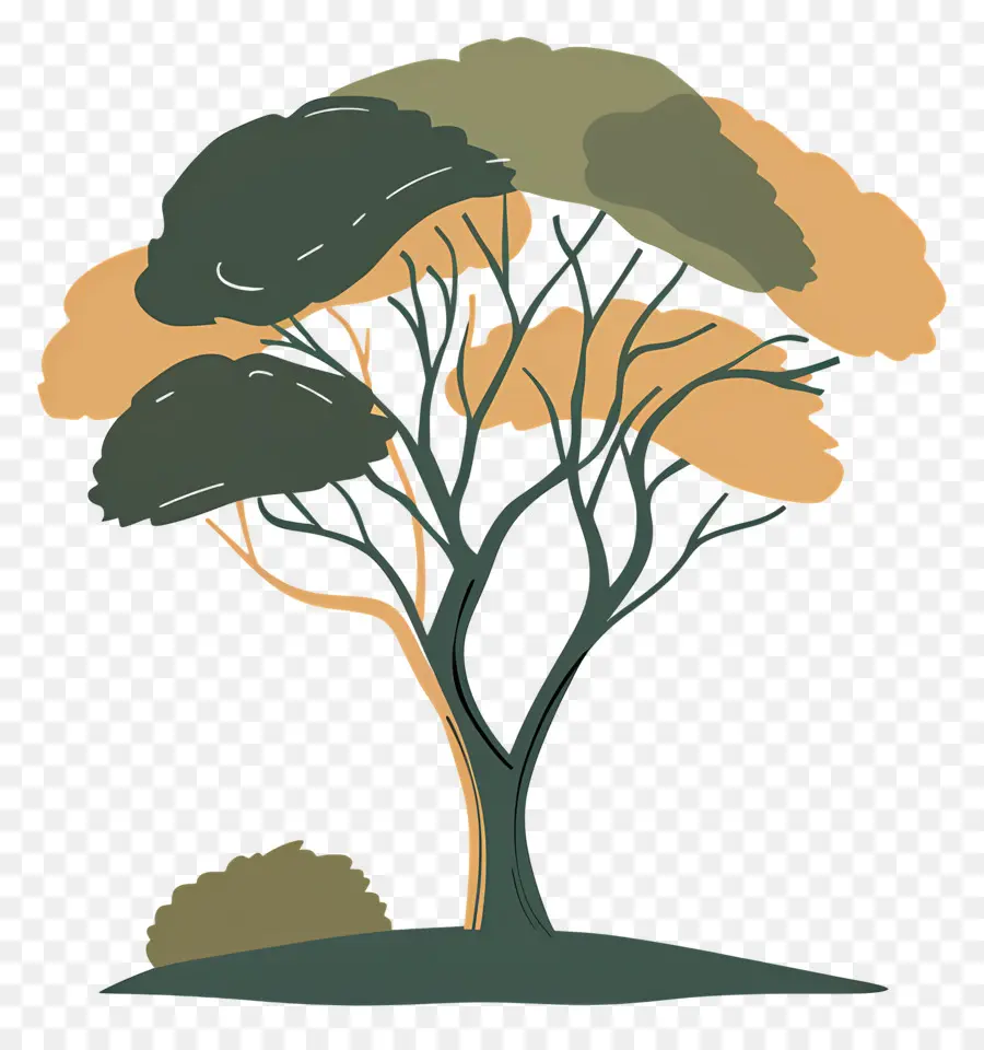 Árbol，árbol Estilizado PNG