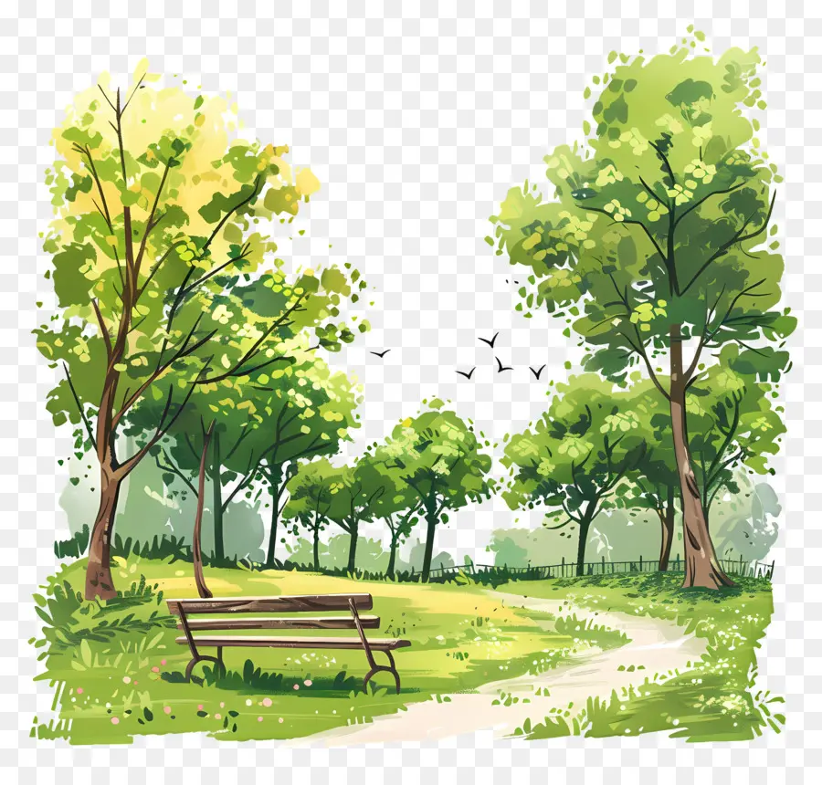 Fondo De Primavera，Parque PNG