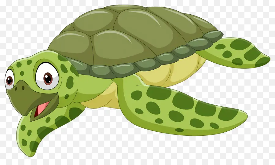 Tortuga De Dibujos Animados，Tortuga Verde PNG