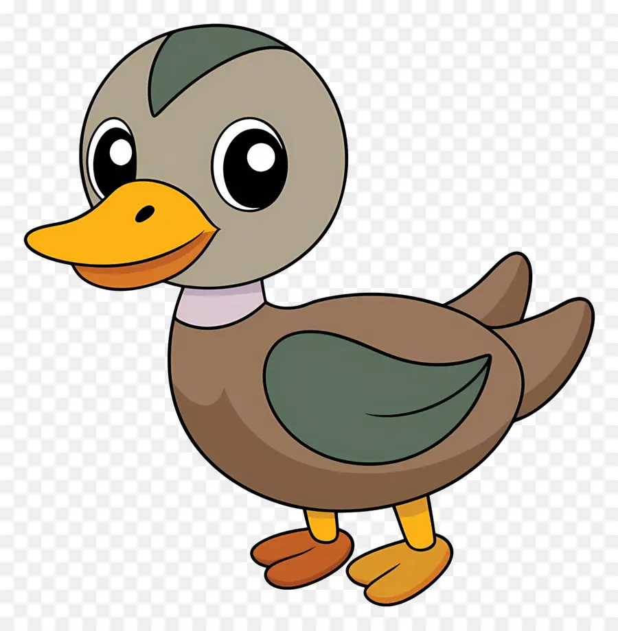 Pato De Dibujos Animados，Pato PNG