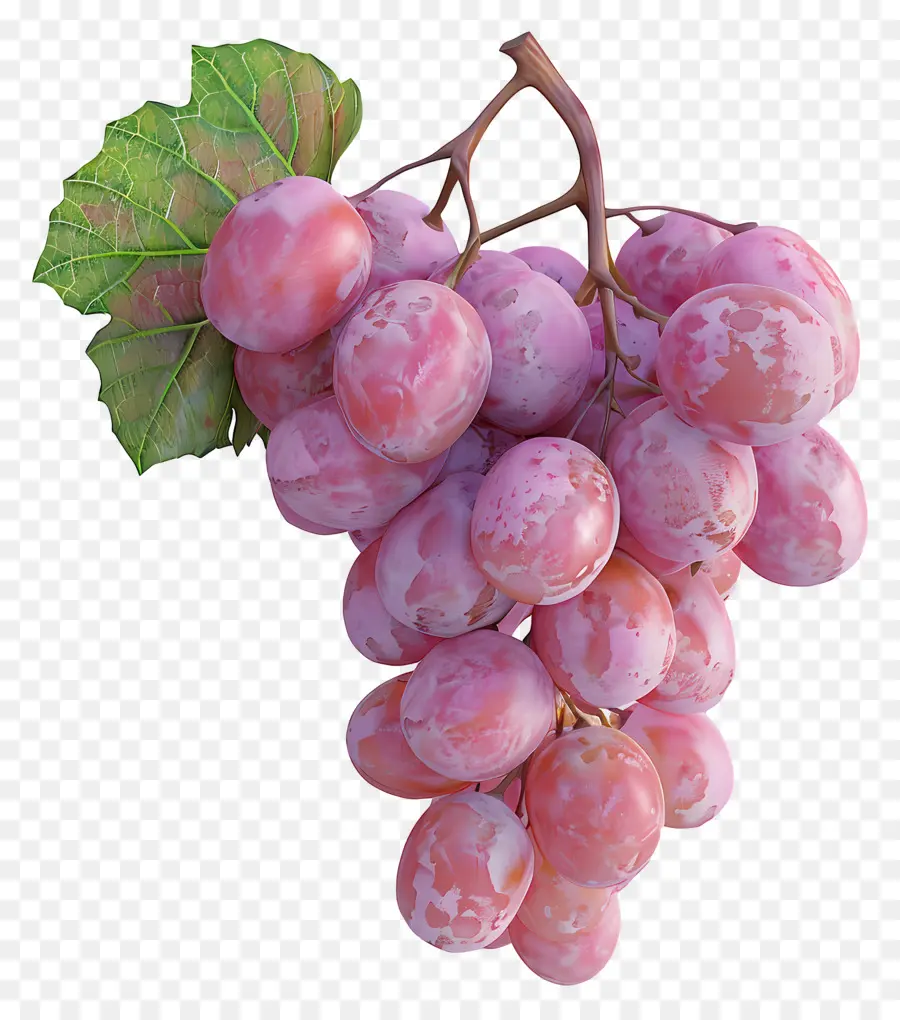 Racimo De Uvas，Uvas PNG