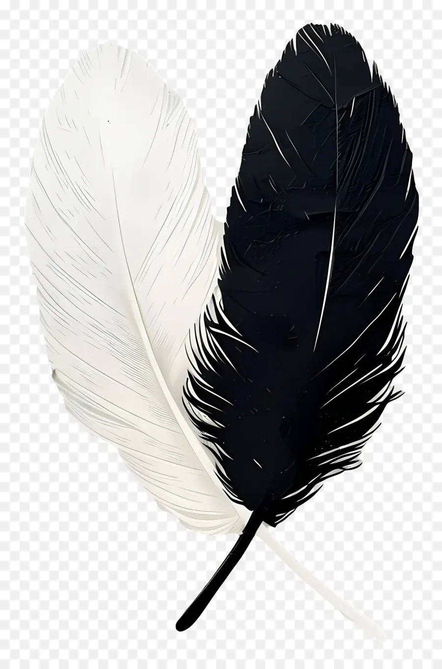 Pluma，Plumas PNG