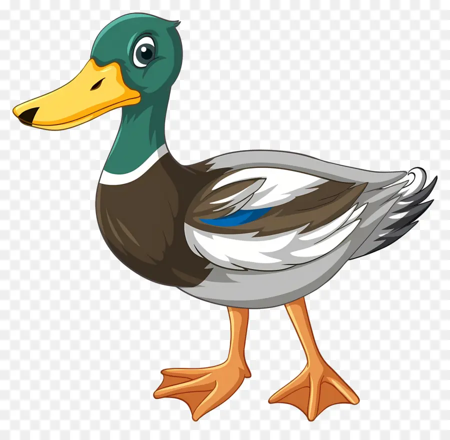 Pato De Dibujos Animados，Pato PNG