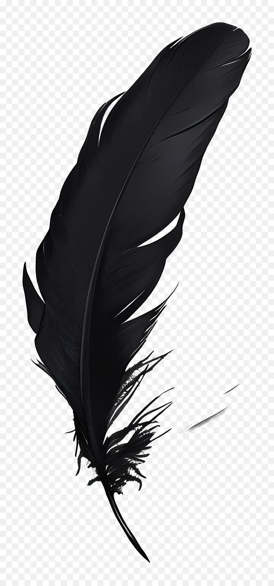 Pluma，Negro PNG