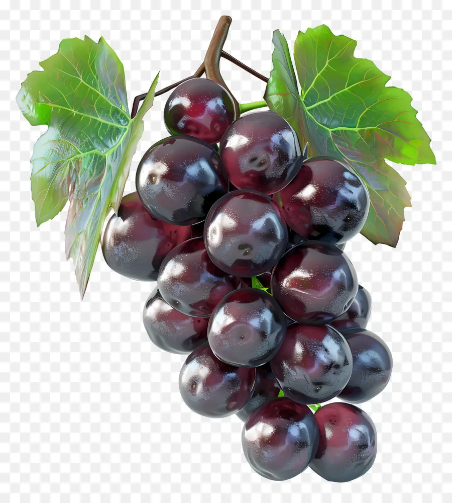 Racimo De Uvas，Uvas Moradas Oscuras PNG