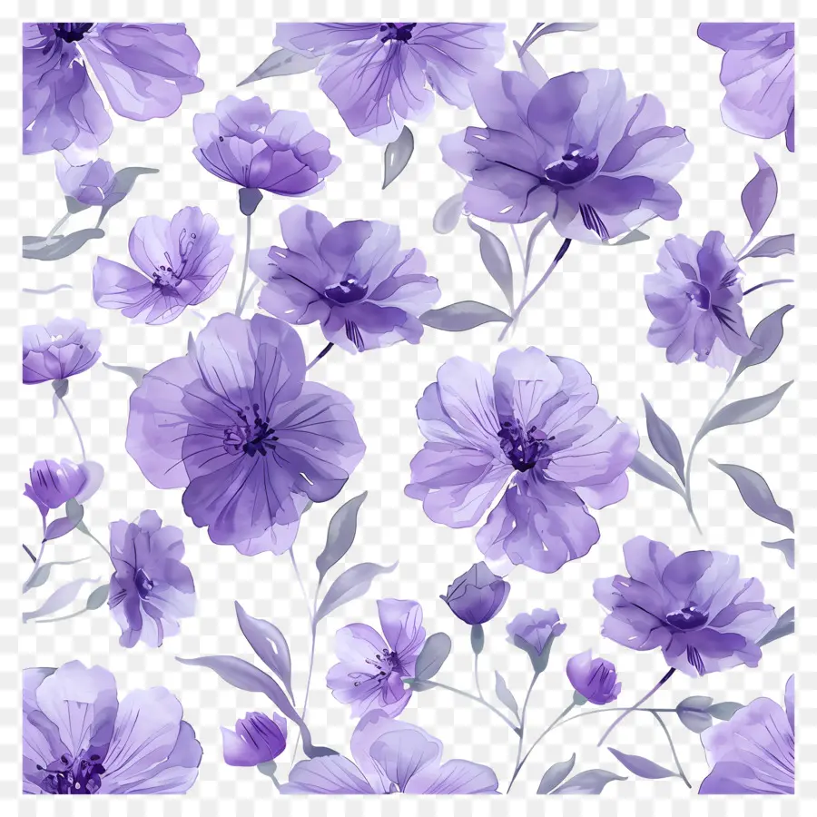 Fondo Morado，Flores Moradas PNG