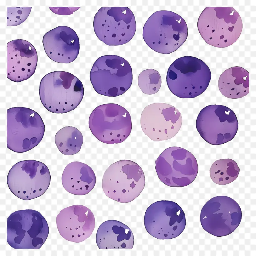 Fondo Morado，Puntos Morados PNG