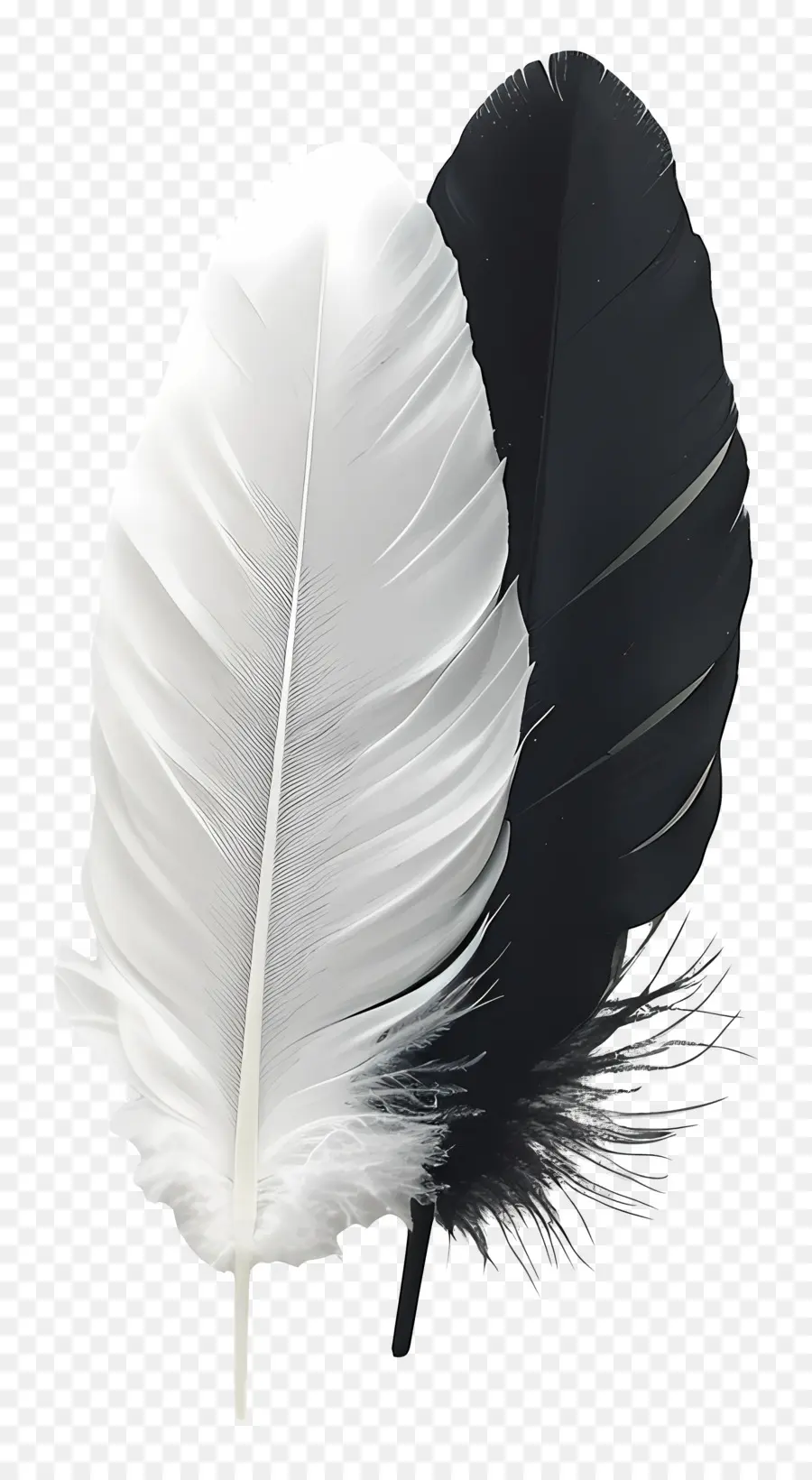 Pluma，Plumas PNG