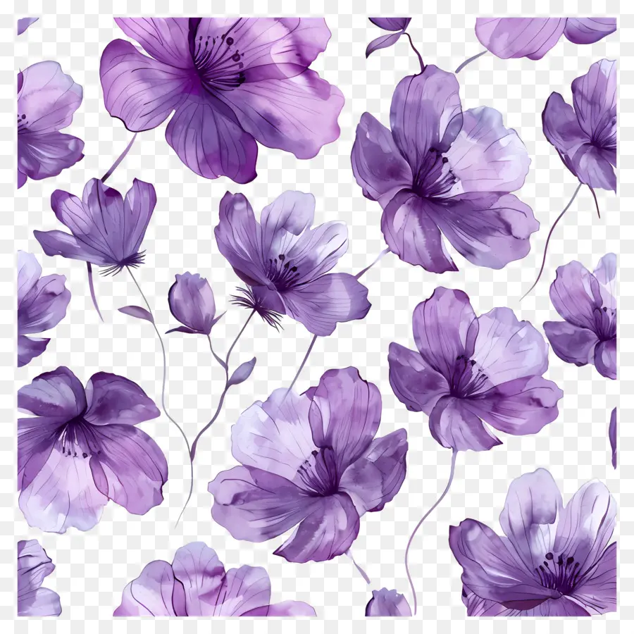 Fondo Morado，Flores Moradas PNG