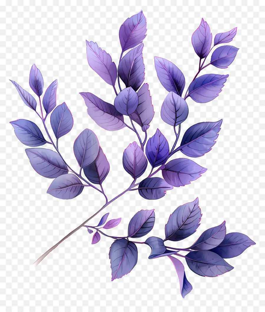 Fondo Morado，Planta Oscura PNG