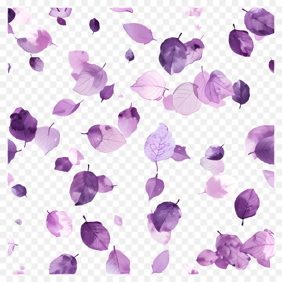 Fondo Morado，Hojas Moradas PNG