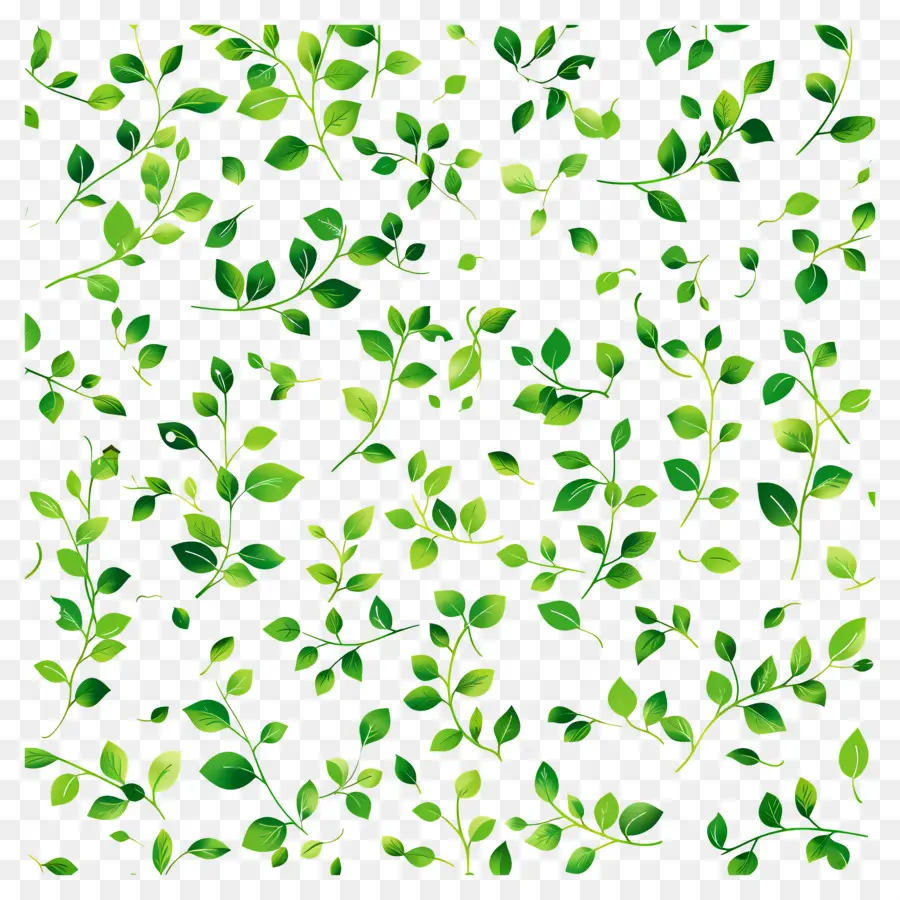 Fondo Verde，Hojas Verdes PNG