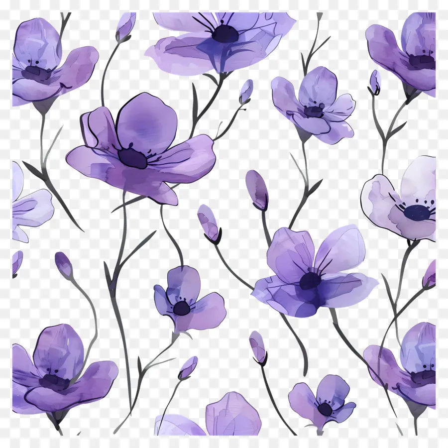 Fondo Morado，Flores Moradas PNG