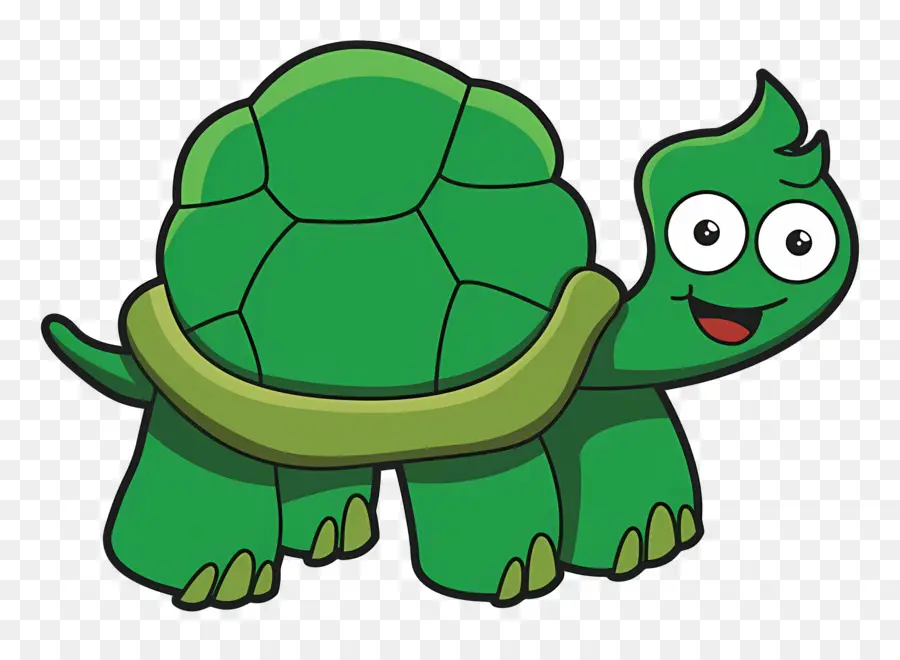 Tortuga De Dibujos Animados，Tortuga PNG